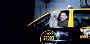 Un taxista trabaja con su perro