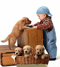Los niños que viven con un perro desarrolan menos alergias