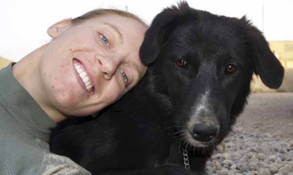 EEUU impide a un militar adoptar un perro iraquí
