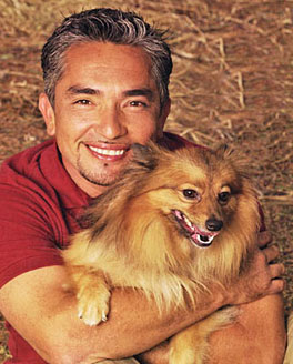 El encantador de perros. Parte I