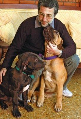 Cuidado perros, gatos, mascotas en general