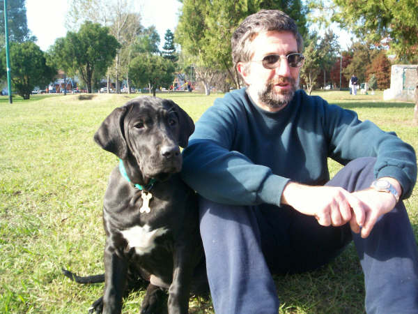 Cuidado perros, gatos, mascotas en general