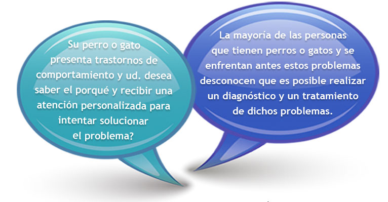 Servicio Online de Atenci&oacute;n Personalizada por contacto de voz o chat